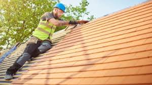 Best Roof Insulation Installation  in Buhl, MN
