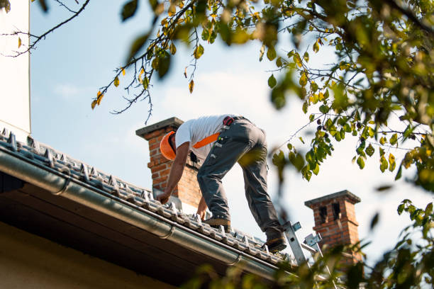 Professional Roofing Service in Buhl, MN