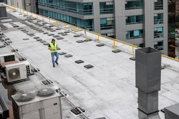 Best Storm Damage Roof Repair  in Buhl, MN