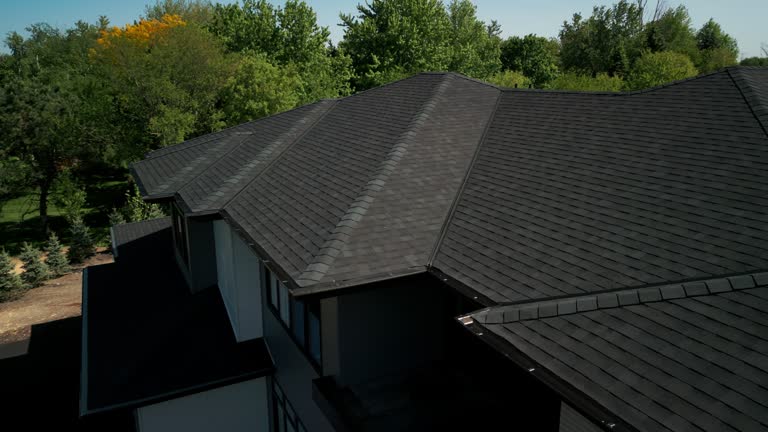 Best Roof Coating and Sealing  in Buhl, MN