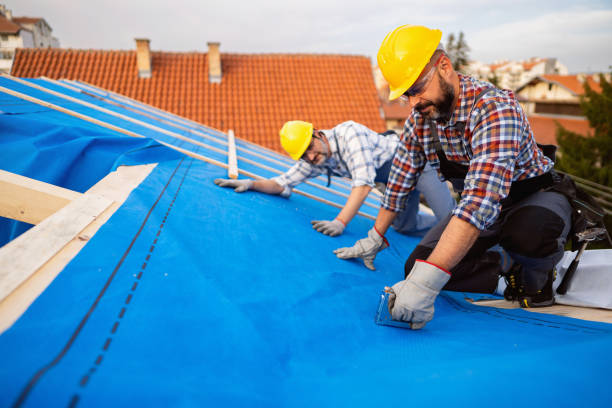 Best Gutter Replacement  in Buhl, MN