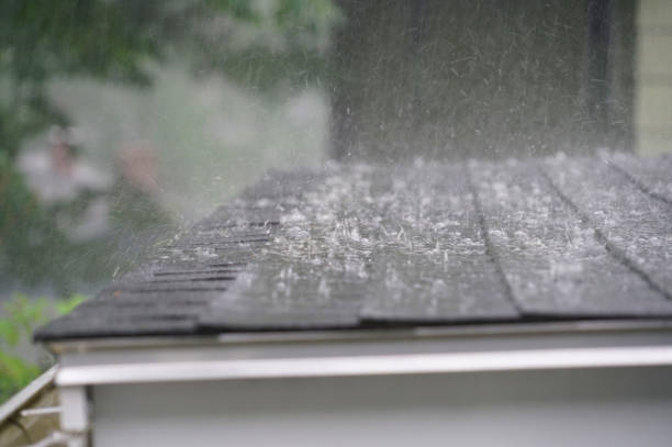 Best Hot Roofs  in Buhl, MN