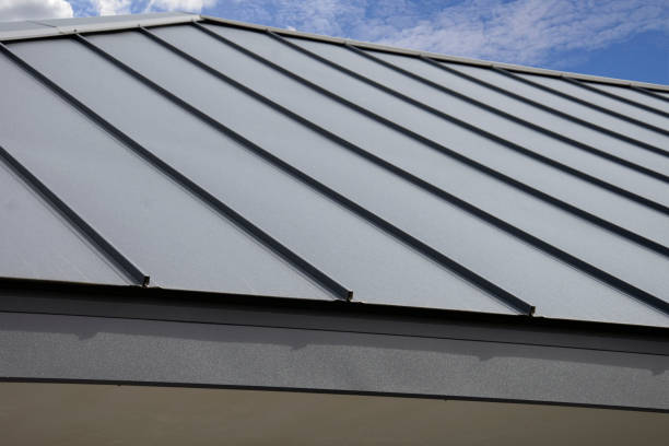 Best Skylight Installation and Repair  in Buhl, MN