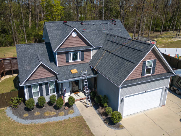 Best Solar Panel Roofing Installation  in Buhl, MN